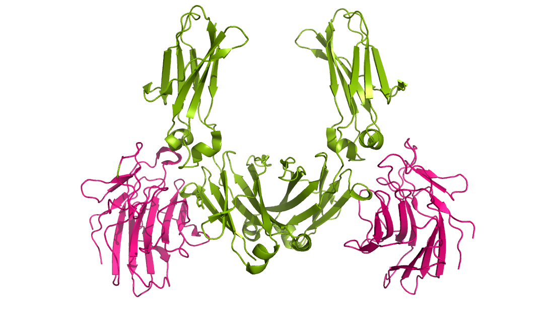 TRIM21 IgG antibody